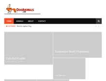 Tablet Screenshot of oddanimals.com